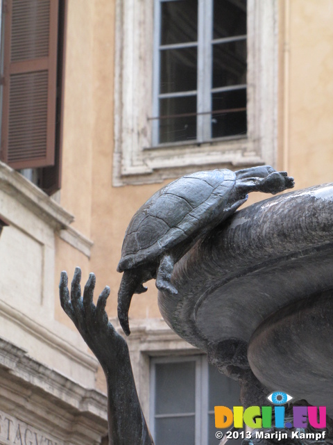 SX31039 Turtle on Fontane delle Tartarughe (The Turtle Fountain)